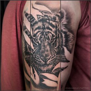 Tiger in the jungle piece done on the upper arm. #tiger
