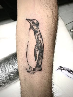 Penguin on inner forearm