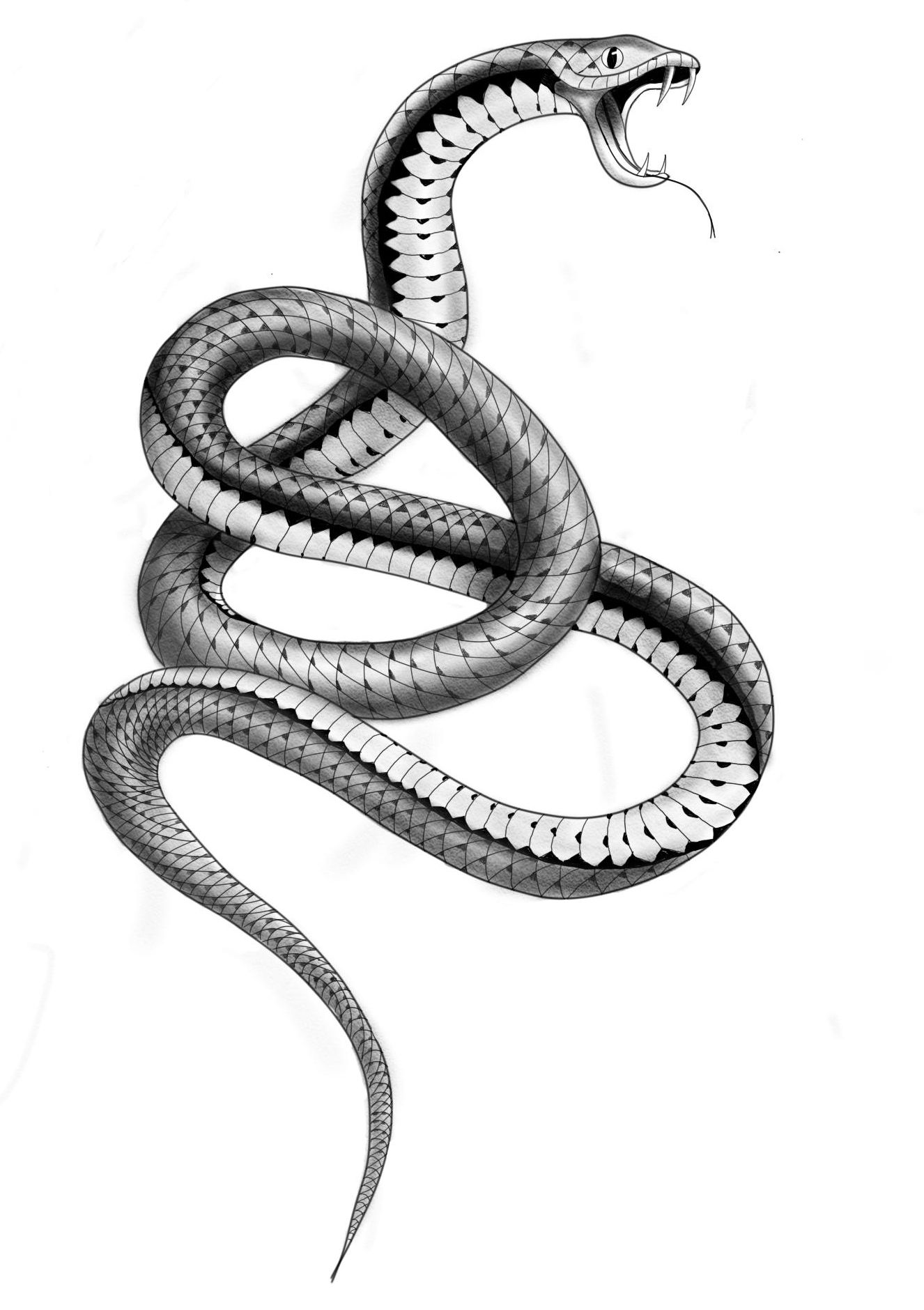 25 Easy Snake Drawing Ideas  How to Draw a Snake  Blitsy