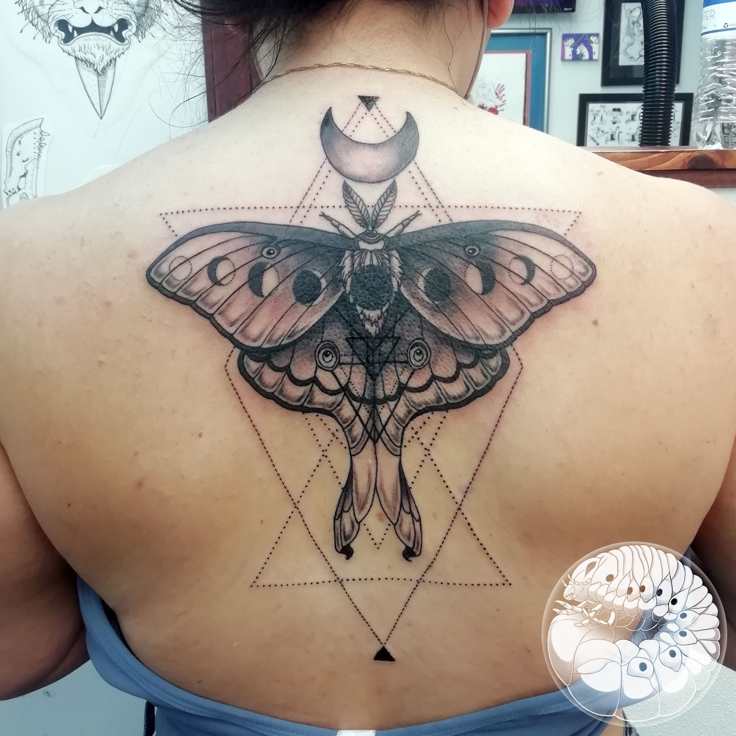 Buy Tattoo Design Ornemental Luna Moth Instant Download Tattoo Online in  India  Etsy