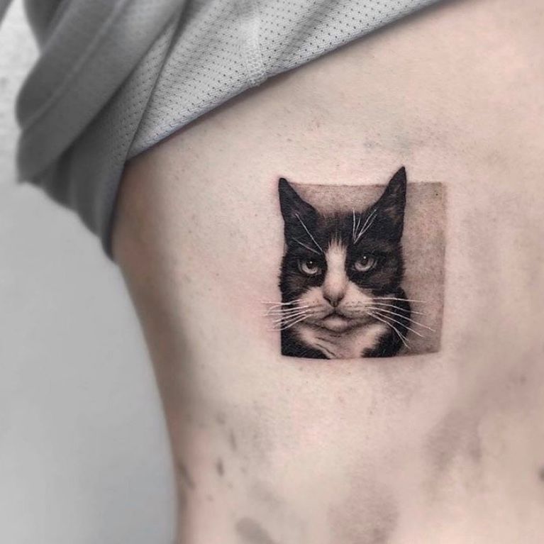 Memorial tattoo of my recently departed kitty, Arwen, by BM at Animated  Canvas in Lexington, SC. : r/tattoo