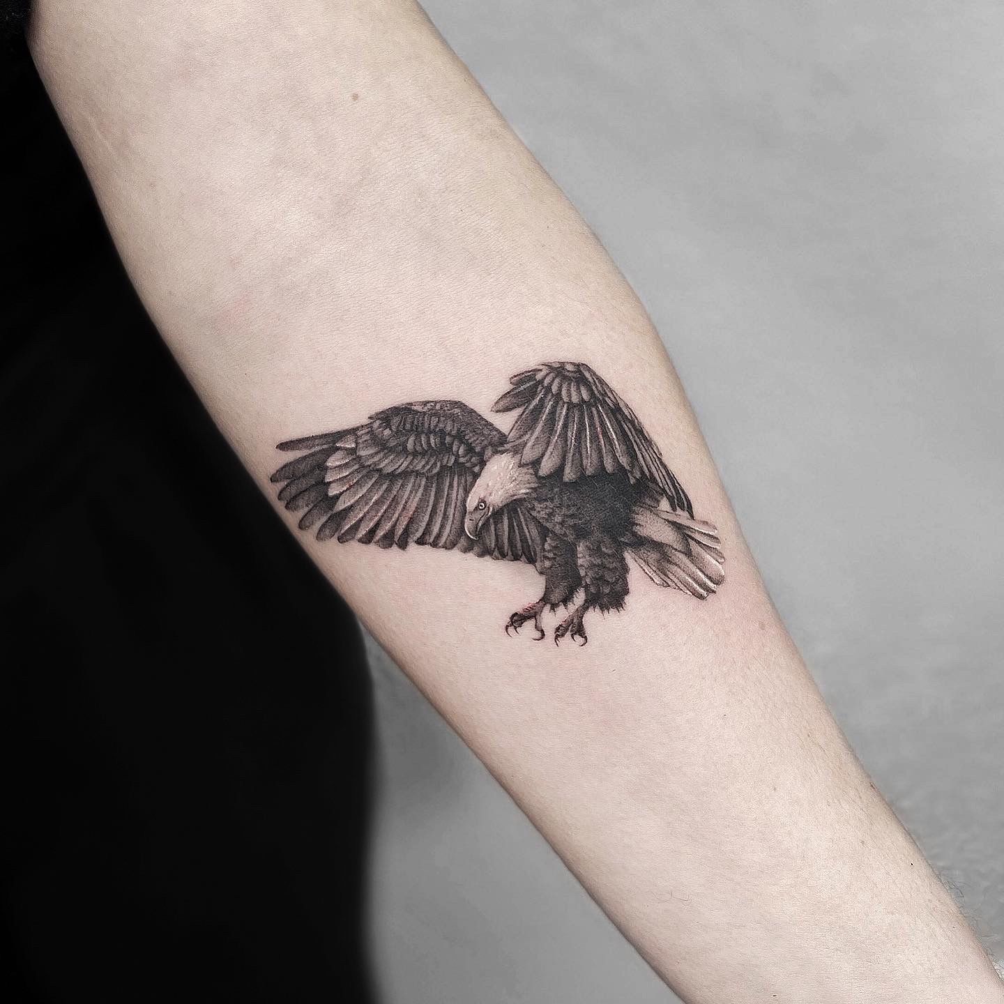 Red Eagle tattoo - aged 2 years and 28 years : r/agedtattoos