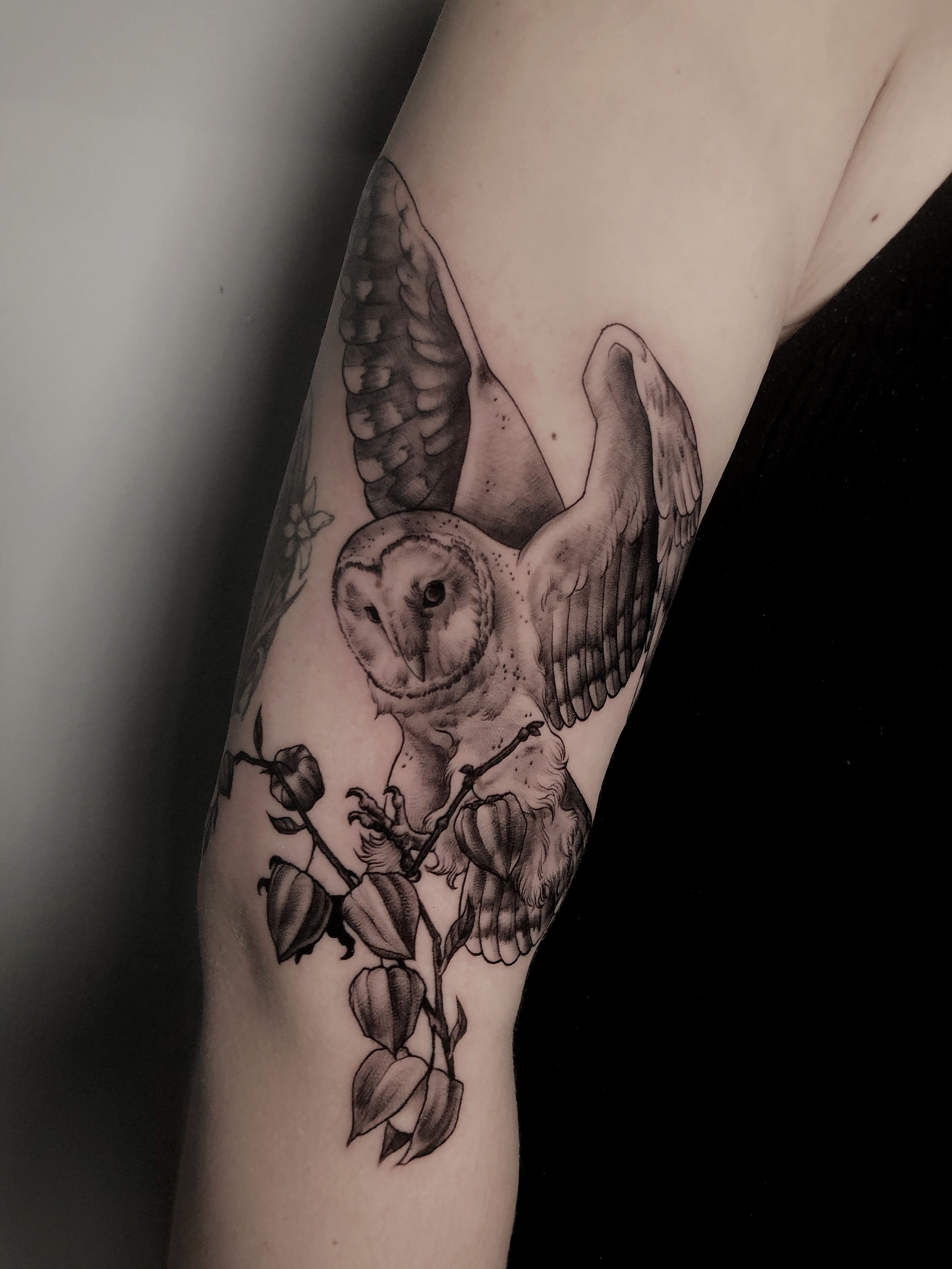 Barn Owl Tattoo by KatyLipscomb on DeviantArt
