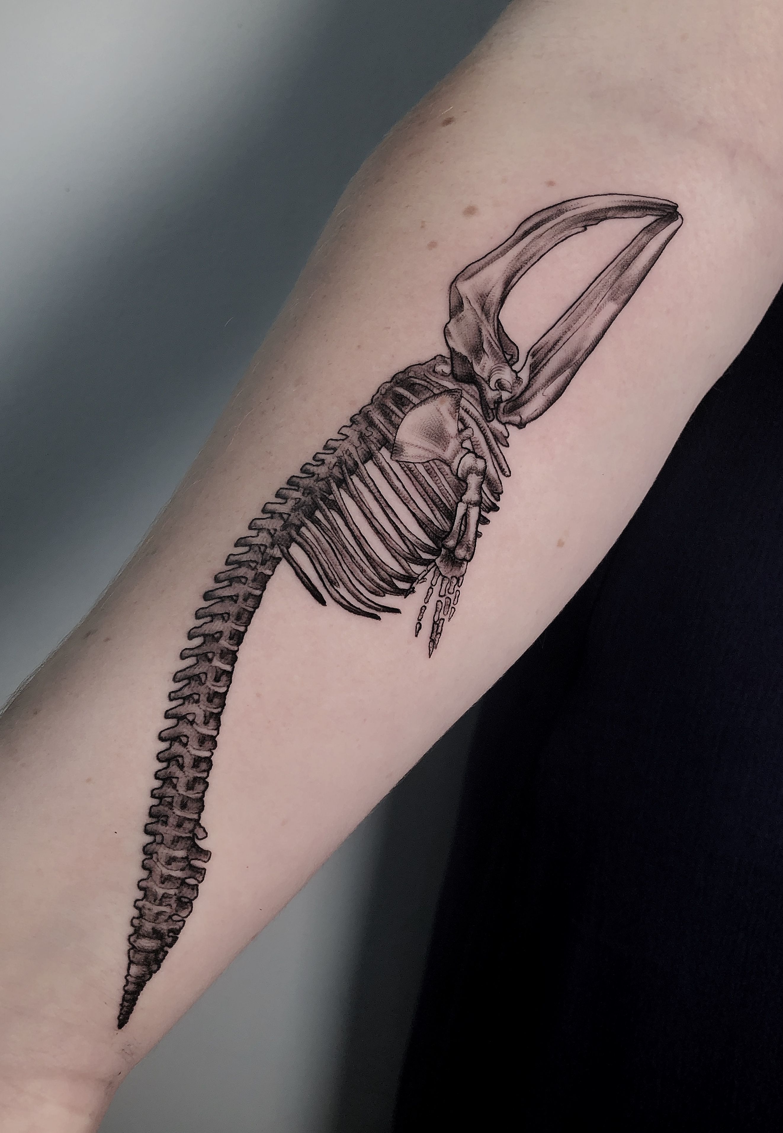A whale skeleton I designed and  Reka Bliss Tattoo  Facebook