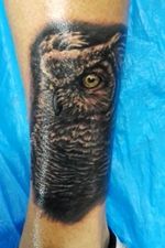 #black&gray #owl #tattooowl black&grayowlyattoo 