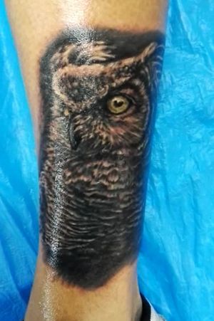 #black&gray #owl #tattooowl black&grayowlyattoo 