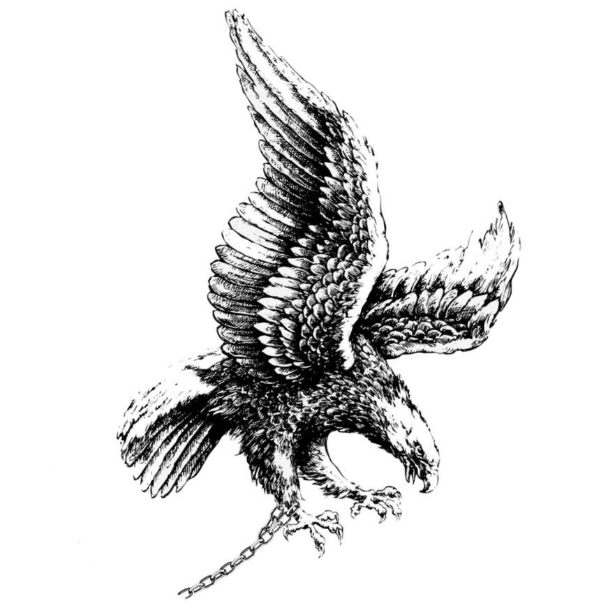 Philadelphia Eagles Png Images Transparent Free Download - Eagle Tattoo  Design, Png Download - vhv