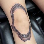 Shark jaw on knee