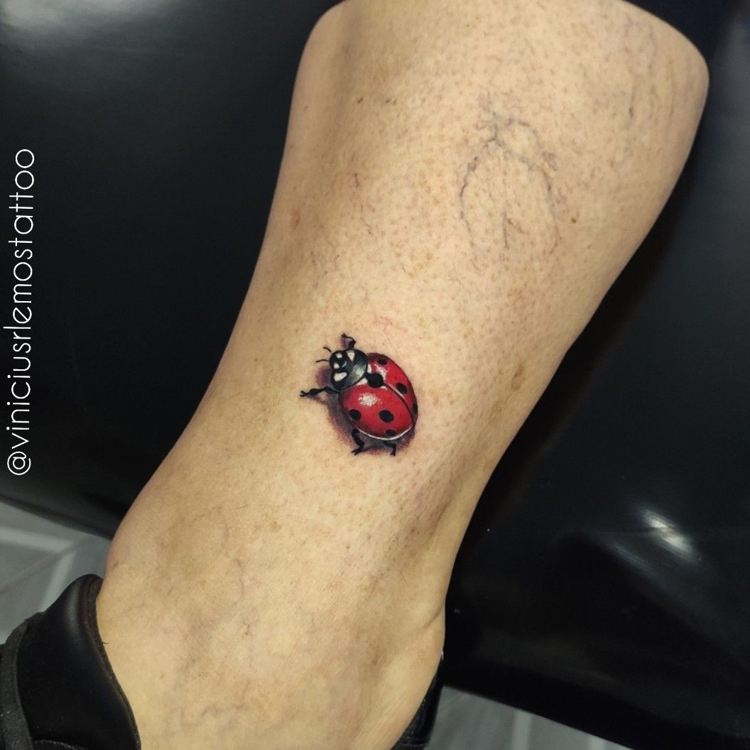 ladybug pen drawing ink geometric design tattoo style insect with winged  dots