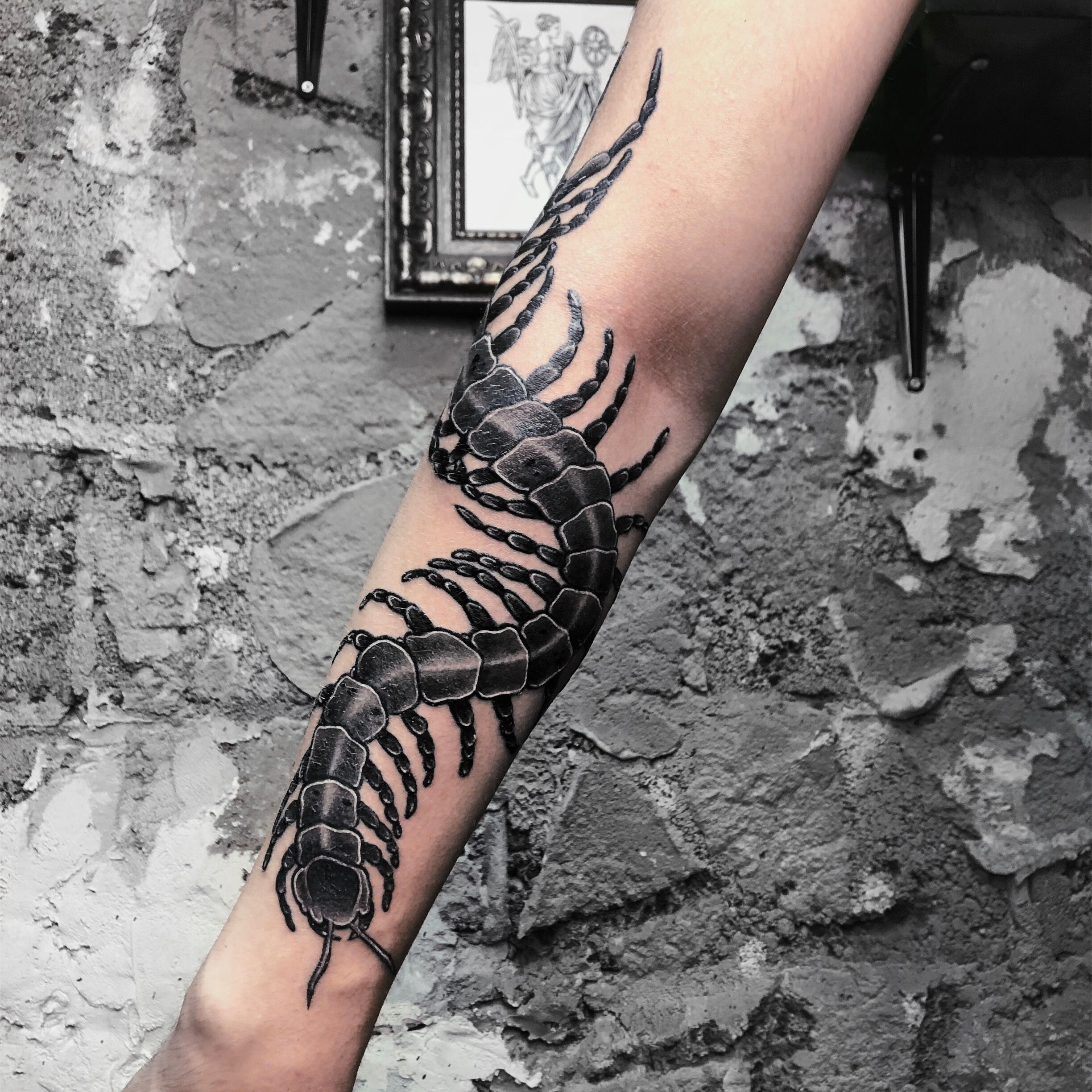 traditional centipede tattoo