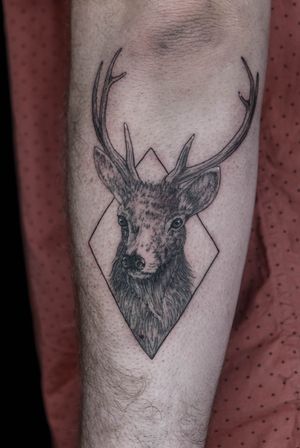 Deer by Bate