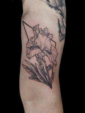 Iris Flower - Iris flower from original photo taken in Judy's garden... - #iris #irisflower #tattoo #floraltattoo #nature #inspiration #linework #blackwork #blacktattoo  #tattooartist #art #darkart #darkartists #darkart_collective #btattooing #picoftheday #tattoolife #inked #dark_art_culture #artesobscurae #tattrx #tätowierung #tfl #berlin #tattooberlin #tattoodo #berlintattooartist #italiantattooartist #kwadron #apocalypsetattoo