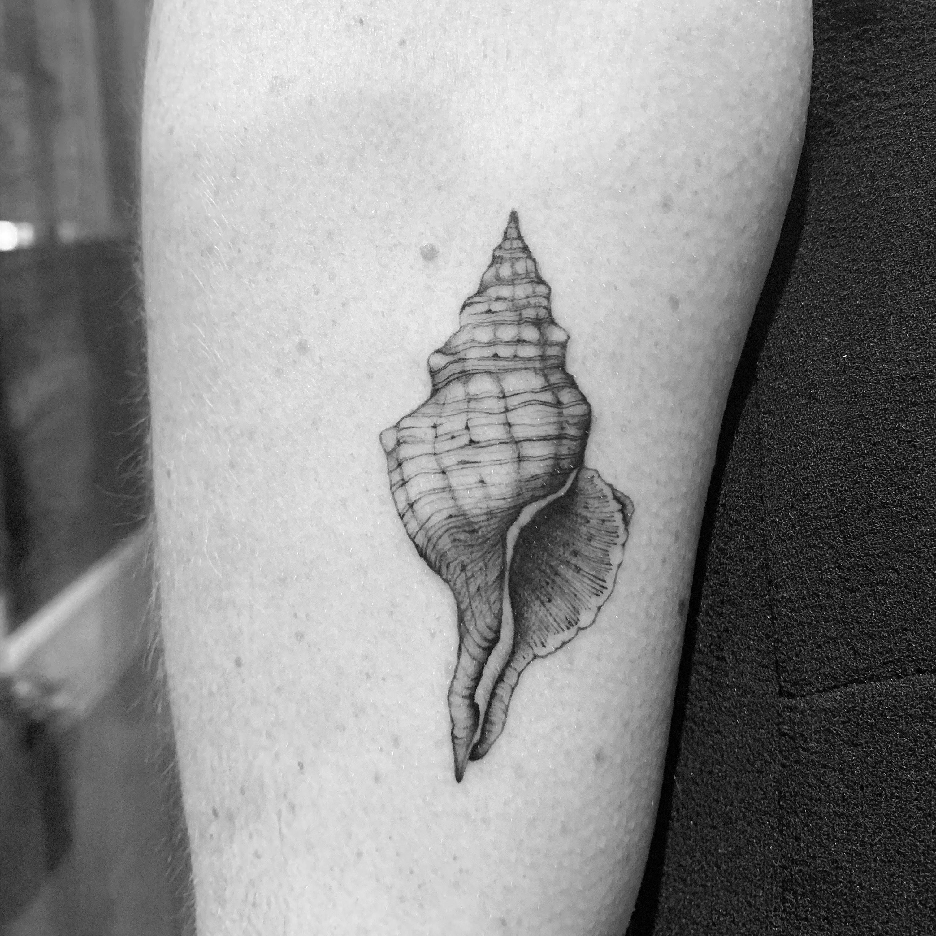 Pony Reinhardt Tattoo on Instagram: “Peony growing from a conch shell, with  water serpent wrapping on the… | Shell tattoos, Shoulder sleeve tattoos,  Hibiscus tattoo