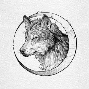 Available wolf