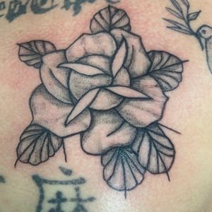 Nice #blackandgrey #neotraditional #rose I got to do last week. #followoninsta #tattoos #inked #ink #flowertattoo #rosetattoo