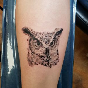 Cool little owl done by @peter_bezuidenhout 