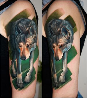  #wolfdog portrait