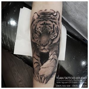 This world is wild, you are a hunter or hunted👇Contact us:▪️101A Nguyen Chi Thanh, Da Nang▪️ Open from 9am to 9pm▪️ Hotline: 0975 555 559 - 0935 239 539▪️ Email: tuantattoo2012@gmail.com▪️ Web: tuantattoo.com.#tiger #tigertattoo #handtattoo #blackwork#tattooformen #tattoodanang #tuantattoo #tattooideas #타투 #여자타투 #레터링타투 #문신 #inked #inkmagazine #베트남여행 #타투디자인 #inkstagram #vietnamtravel #danang #danangtattoo #piercing #danangcity #danangtrip #hanmarket #tattooist #inker #inkcolor #홍대타투샵 #홍대타투 #건대타투