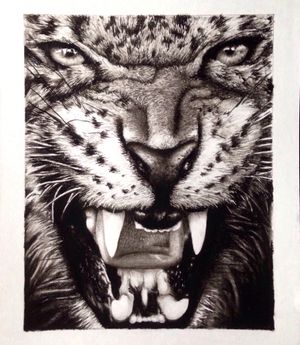 This my first LeopardMade it on A4 paper with charcoal 