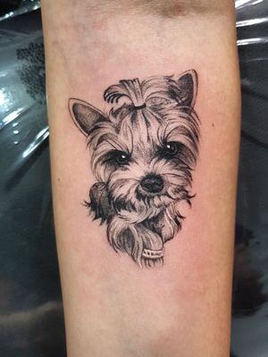 Yorkshire puppy tattoo.