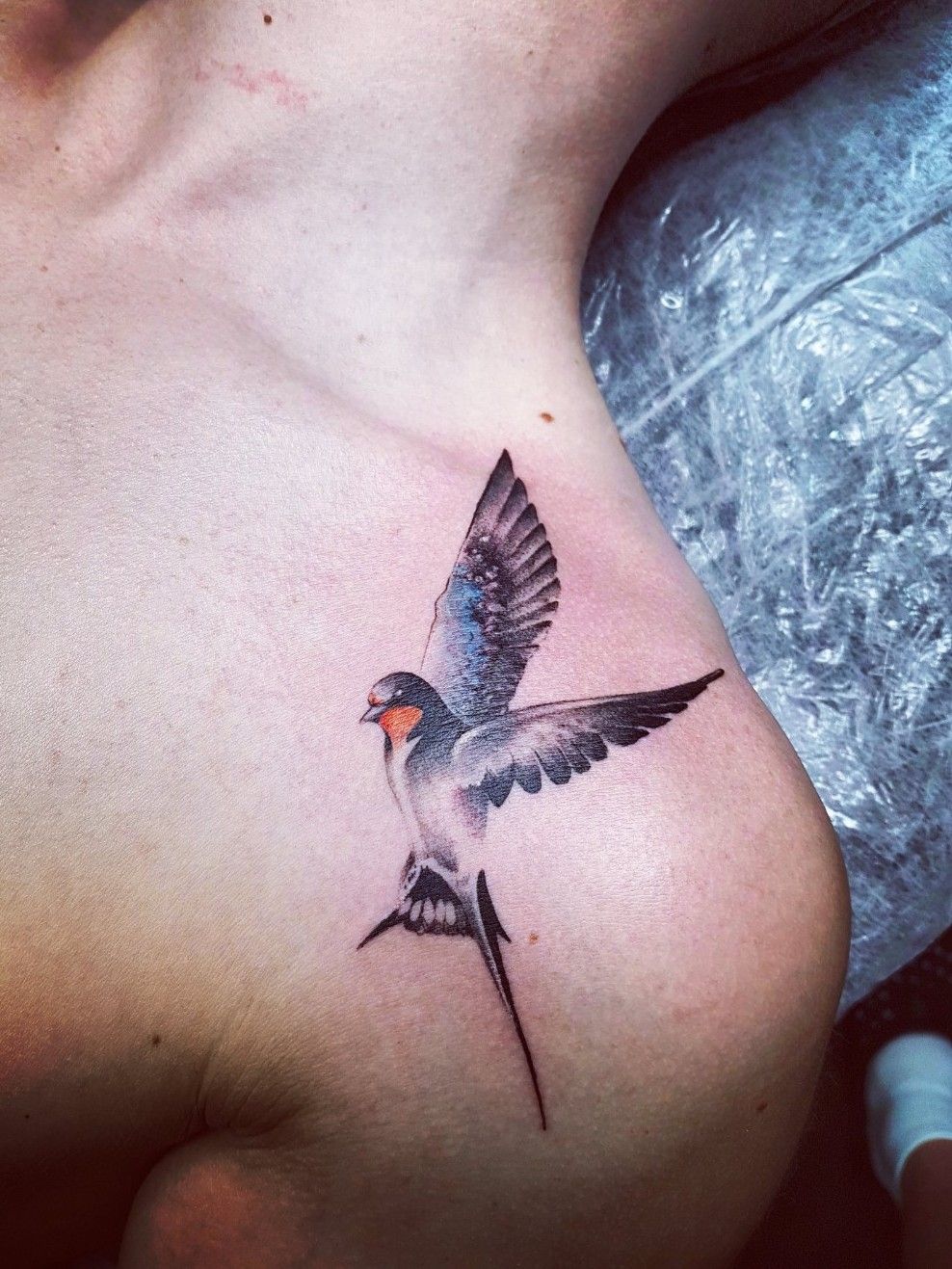 Tattoo uploaded by Milky Blue • single-needle micro realistic swallow tattoo  • Tattoodo