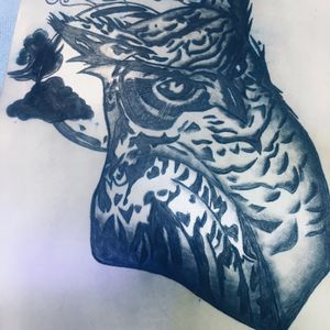 A really cool owl I did on practice skin. I love owls! 