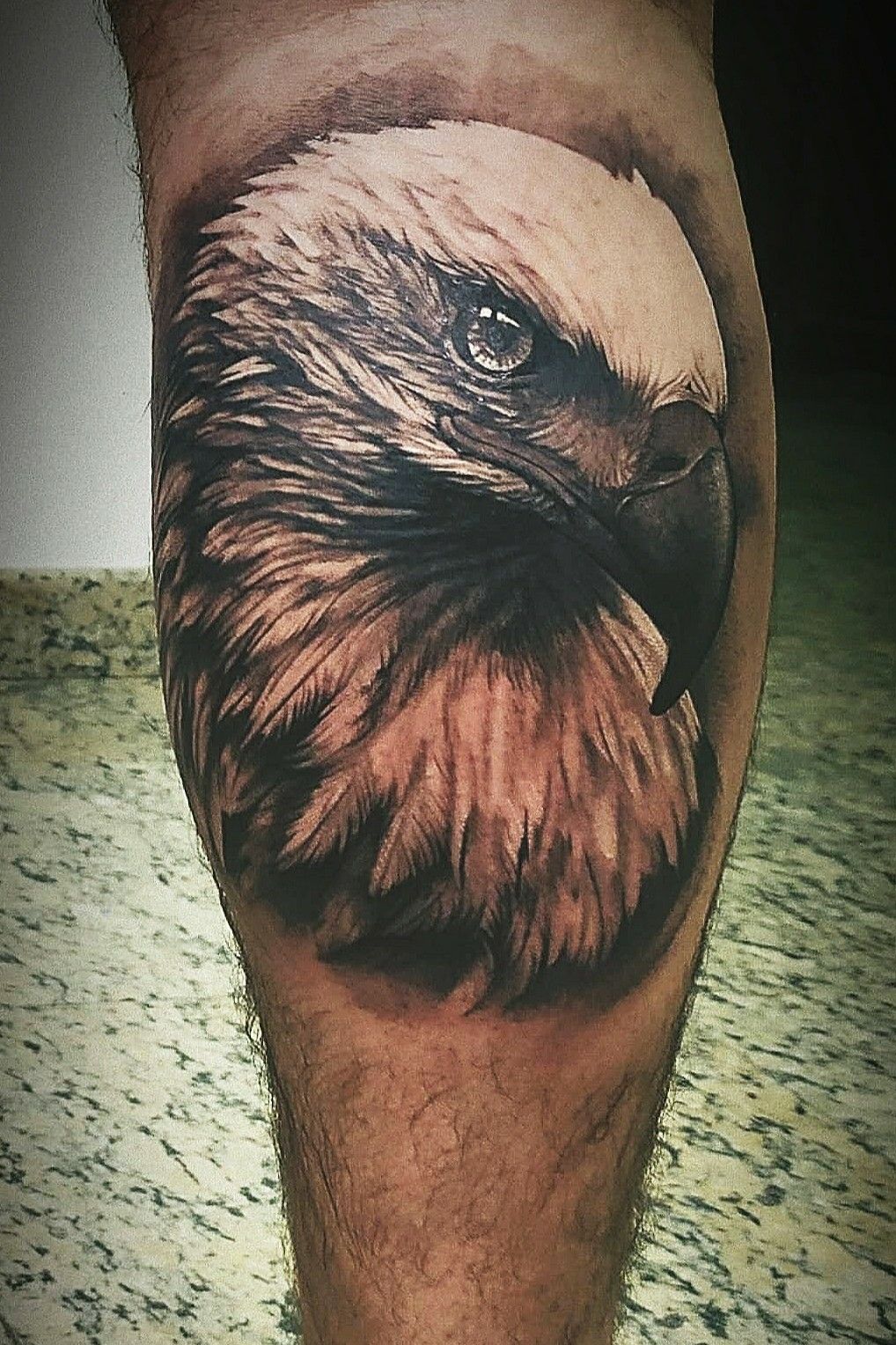 Eagle on a Skull. (By Mark Stewart @ Forever Tattoo Parlour in Cape Coral,  Fl) : r/tattoos