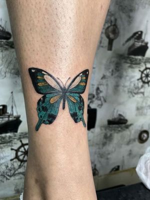 Butterfly exotic 