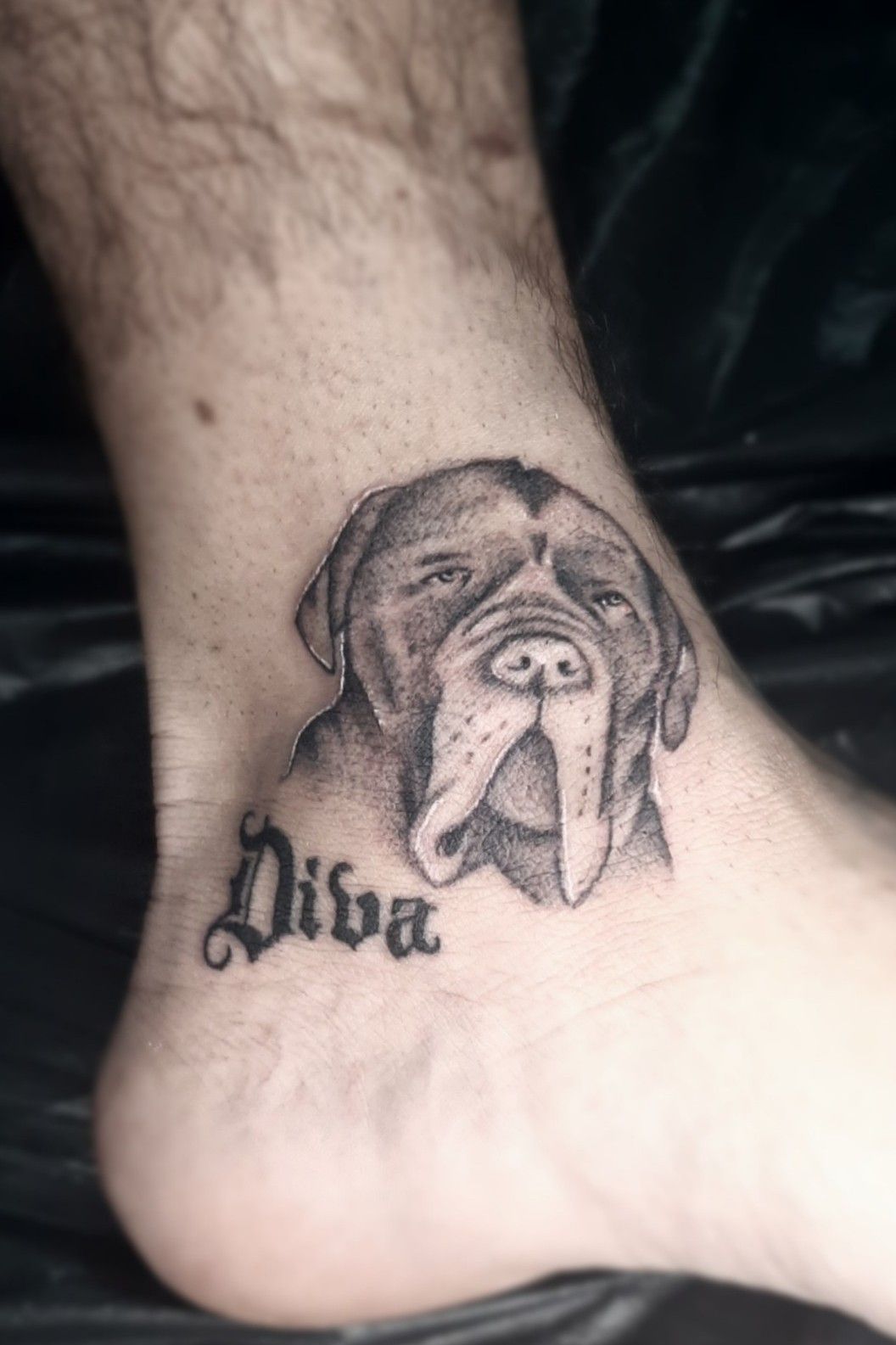 bøf podning lidelse Tattoo uploaded by Federica Soranna • Cute pet DIVA • 1482657 • Tattoodo