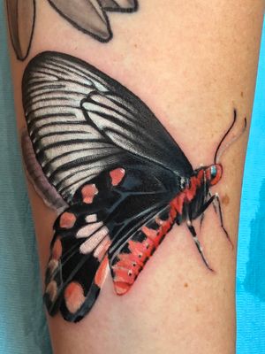 📍 Seattle, Washington • • • • #butterfly #color #colortattoo #realism 