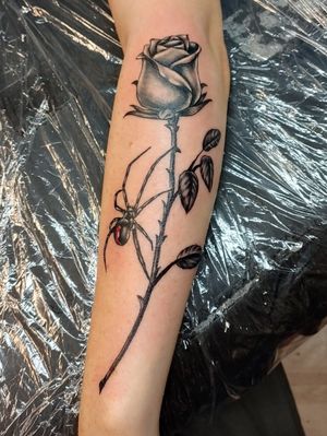 #blackwidow #rose #rosetattoo #tattoo
