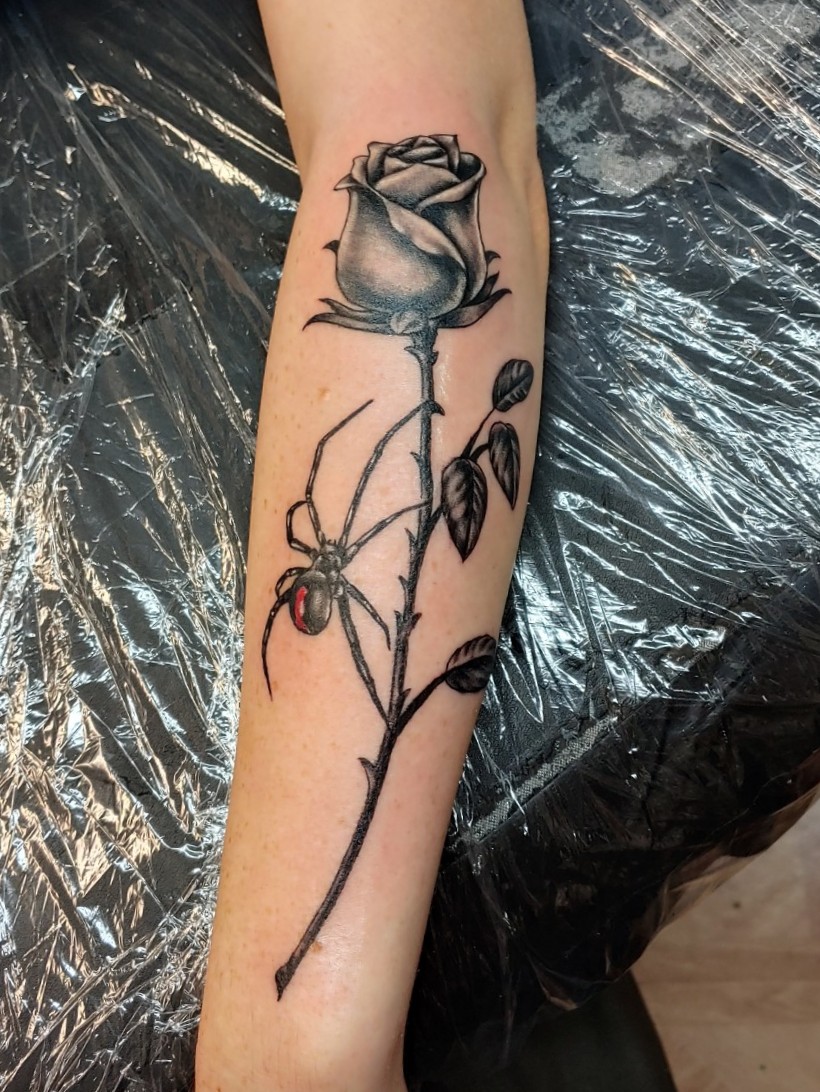 rose and spider tattooTikTok Search