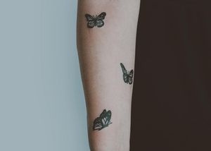 butterflies 