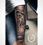 Tiger tattoos by inkblot tattoos contact 9620339442