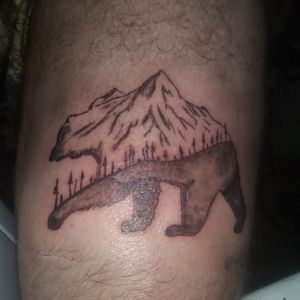 Self done. First attempt at shading. Think i did pretty good! #bear #mountain #outdoors