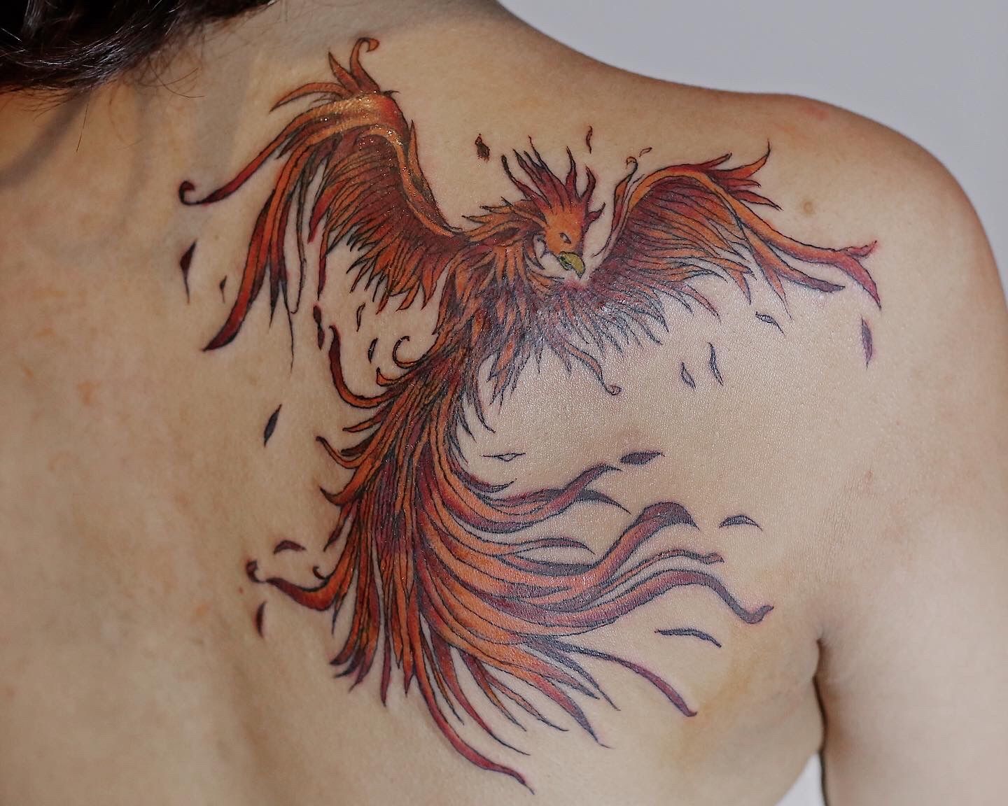 Phoenix tattoo on the right upper arm and shoulder.