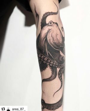 Octapus tattoo by our resident artists