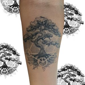 Healed Tree of Life Tattoo