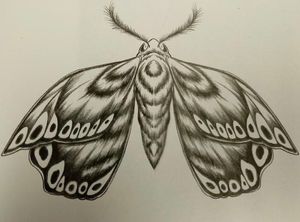 #moth #mothtattoo #dotwork #tattooideas