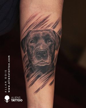 Dog Portrait Tattoo by Allan Gois at Aliens Tattoo India.Visit Our Website To See More Off Tattoos Here - www.alienstattoo.com