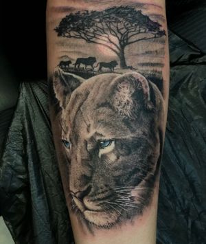 Lioness Tattoo @floydvaresi #lioness