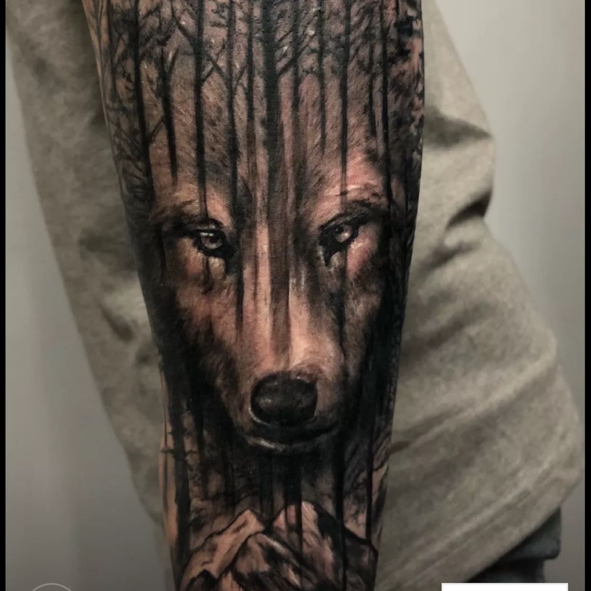 Featured image of post View 16 Black Shadow Wolf Tattoo