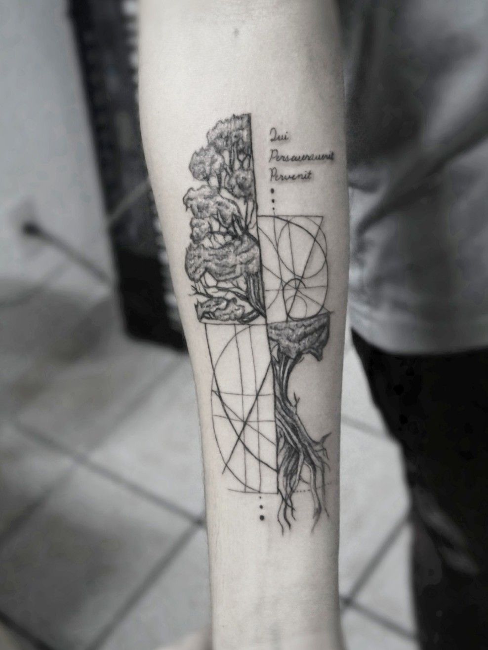 Tattoos,Fibonacci spiral tattoo design Check more at  https://outsons.com/amazing-fibonacci-tattoo-designs/ | Fibonacci tattoo, Spiral  tattoos, Geometric tattoo