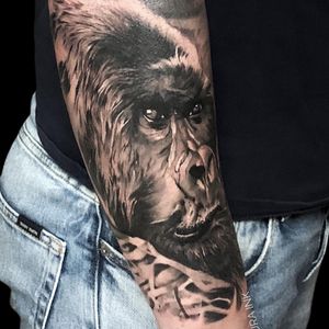 Gorilla #tattoo #tattoos #realism #realismtattoo #realistictattoo #tatouage #tattoorealistic #blackandgreytattoo