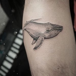 Whale dot work tattoo. 