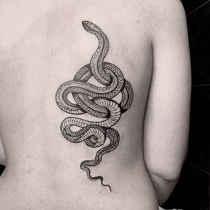 Snake from a few days back!Contact me for appointments!