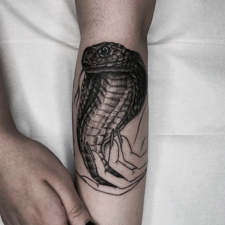 19 Viper ideas  snake art snake tattoo snake tattoo design