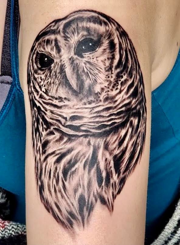 Drawings For Tattoos owl Drawing LA Ink five Dots Tattoo owl Tattoo  new School Great Horned Owl barn Owl EAGLE Fly  Anyrgb