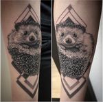 #tattoo #tatouage #hedgehog #hedgehogtattoo #herisson #herissontattoo #animal #animaltattoo #realistictattoo #realistic #realisticink #forearmtattoo #lausanne #lausannetattoo #tattoolausanne #fann_ink