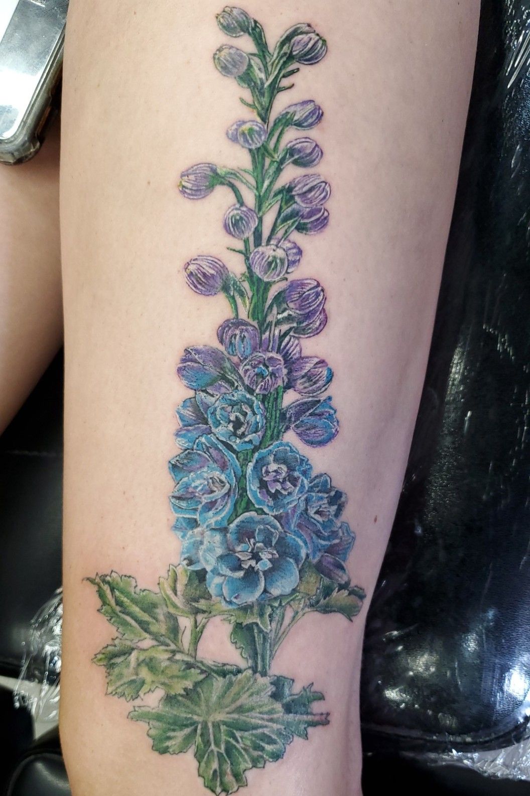 simple miimilis delphinium flower tattoo drawing, artistic hand-drawn  pencil sketch coloring page with blossom larskapur branches sticl of leaf  natural floral collection, small tatto with delphinium. 25255270 Vector Art  at Vecteezy